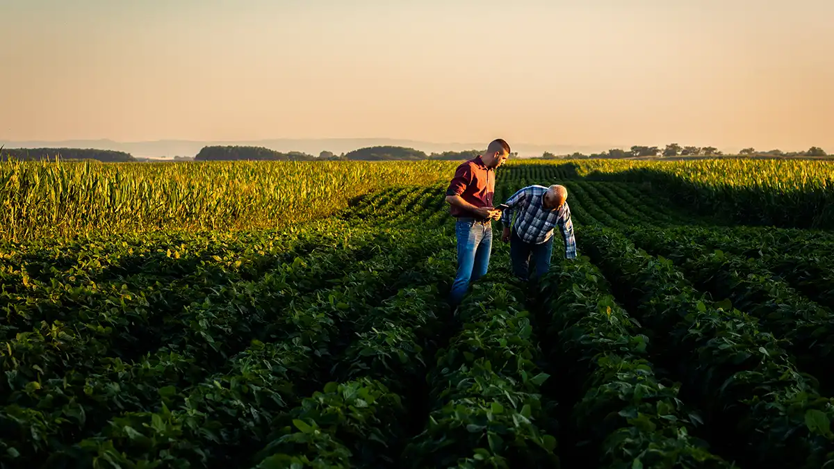 FSMA 204 Farms Grower