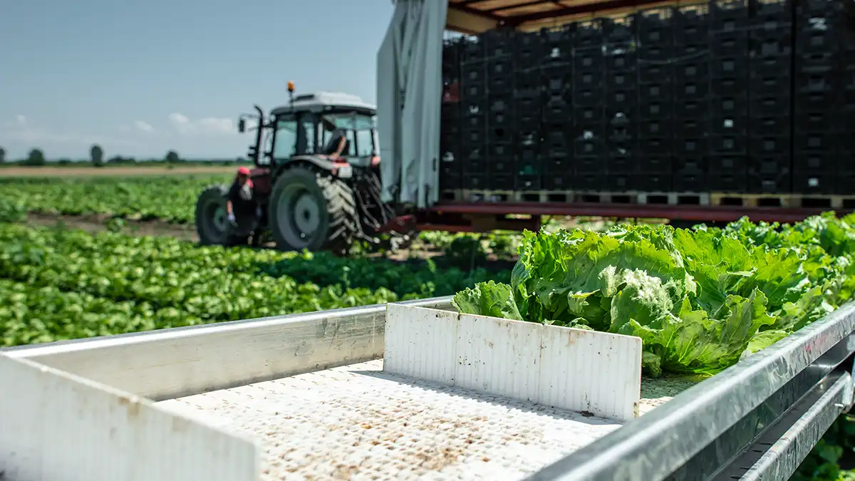 FSMA 204 Farms